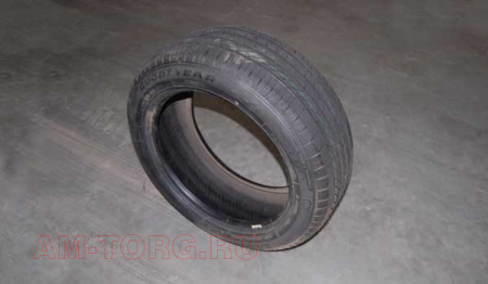  205/55 R16 91W (GOODYEAR) () B11-6BW3100030AC 